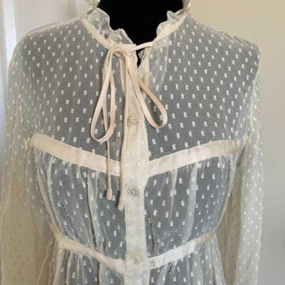 Transparent Cream Colour Silk Dot Blouse - Picture 2 of 3